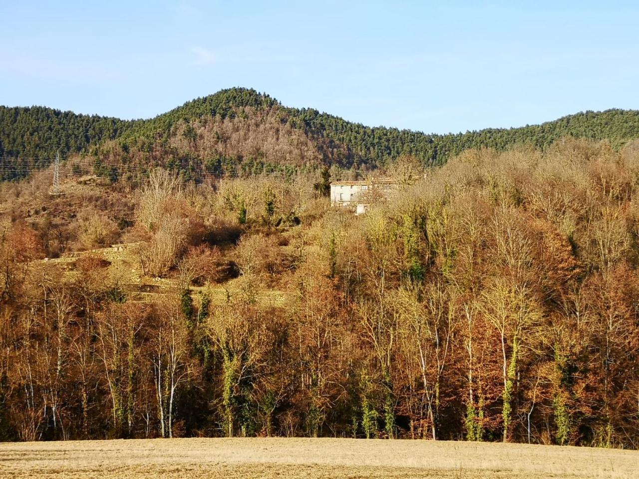 Allotjaments Rurals Can Punti Vallfogona de Ripolles Exterior photo